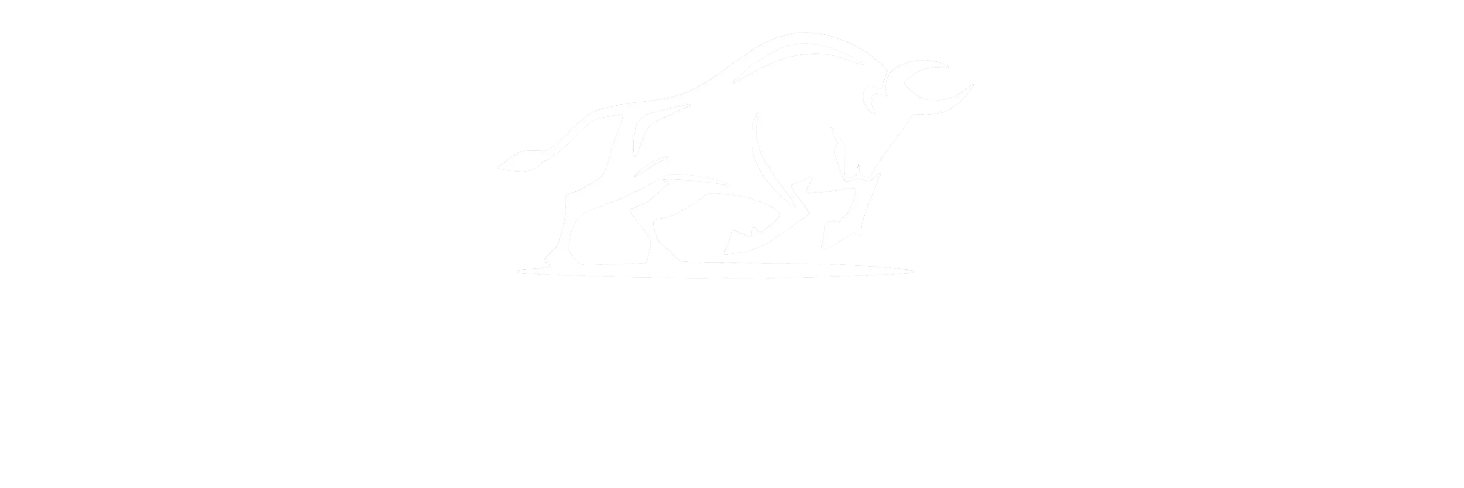 LOGO ORIGINAL LOJA VINTAGEBULL RELOGIOS PREMIUM SEIKO ARTESANAL